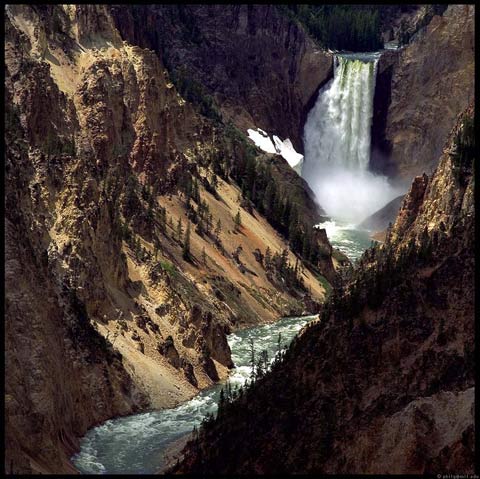 Yellowstone